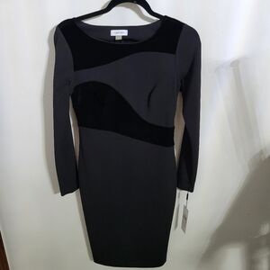 Calvin Klein Women's Elegant Black and Gray Long Sleeve Dress